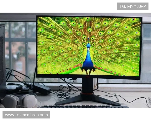 如何快速找到可靠的ag贵宾厅登录线路确保顺畅体验