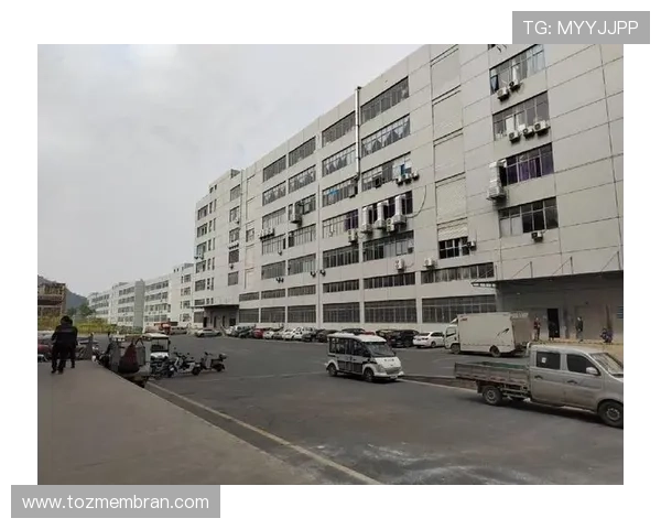 凯发房地产有限公司：引领城市房地产市场的创新先锋