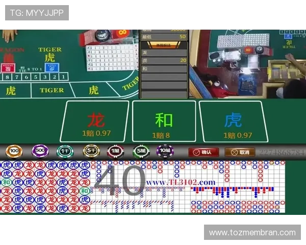 凯发押庄龙虎：结合实际案例讲解押庄龙虎的赢钱技巧与风险控制策略